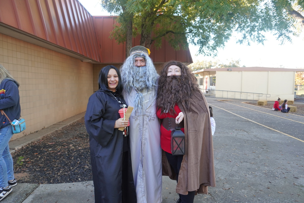 Hotom Dressed as Dumbledore with staff dressed as Hagrid and Snape
