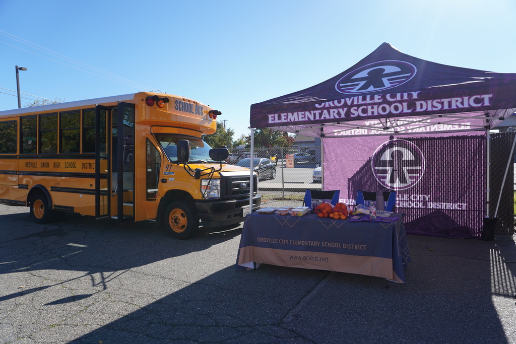 the bus with our canopy