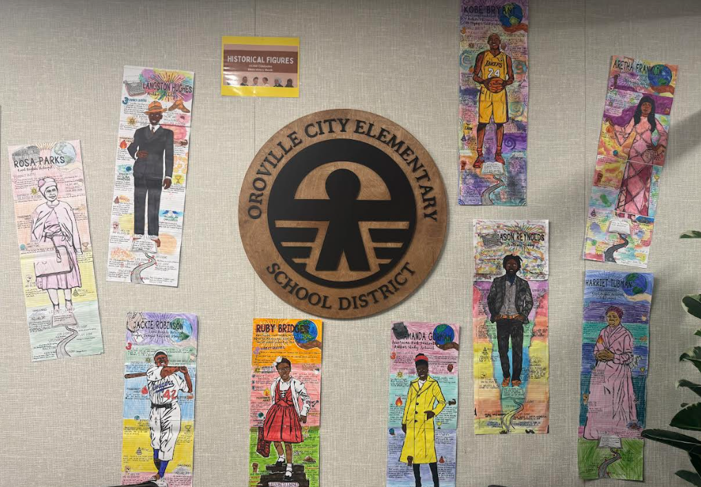 OCESD logo surrounded by colored drawings