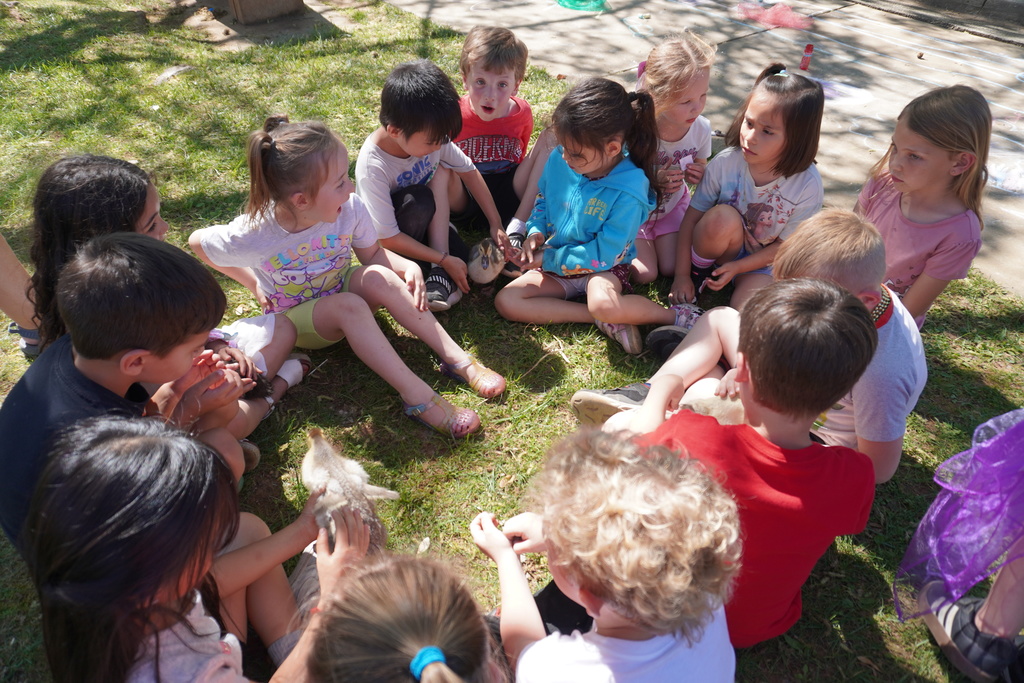 An overhead shot of a group of approximately a dozen young children sitting in a circle on a grassy lawn outdoors. The children are dressed in colorful spring clothing and are looking inward with expressions of curiosity and delight as they gently interact with several fluffy baby ducklings. Sunlight filters through nearby trees, casting soft shadows on the grass and the sidewalk in the background, which is decorated with colorful chalk drawings.
