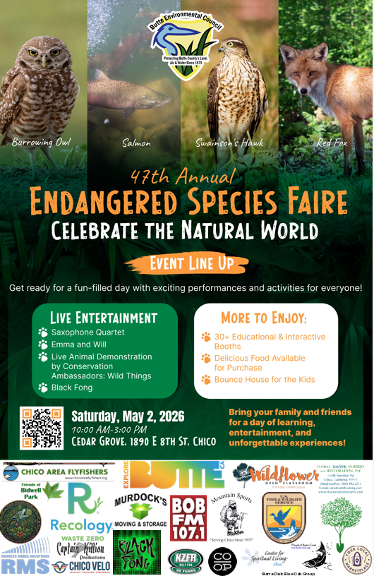 This flyer is for the 47th Annual Endangered Species Faire, hosted by the Butte Environmental Council. Here is the descriptive alt text: Alt Text: 47th Annual Endangered Species Faire Flyer Header & Visuals: The top of the flyer features four vertical panels showcasing local wildlife: a Burrowing Owl, a Salmon, a Swainson's Hawk, and a Red Fox. The Butte Environmental Council logo sits in the center. Large, stylized orange and white text reads: "47th Annual Endangered Species Faire: Celebrate the Natural World."