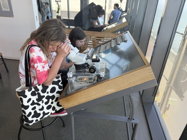 Students exploring the Exploratorium and microscopes.