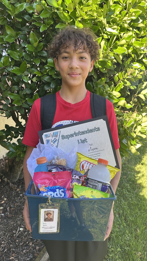A medium shot of a young boy with curly brown hair, Sabyn Saetern, standing outside in front of green bushes. He is wearing a red t-shirt and a black backpack, and he is holding a large blue plastic bin filled with treats and prizes. Inside the bin are bags of chips, Nerds candy, sports drinks, and a certificate that reads "Superintendents List to: Sabyn Saetern." Clipped to the front of the bin is his school ID badge that reads "Student Superintendent."