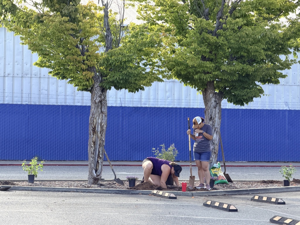 Two people plant a small tree in front of a blue building. The area is landscaped with small shrubs and trees.
