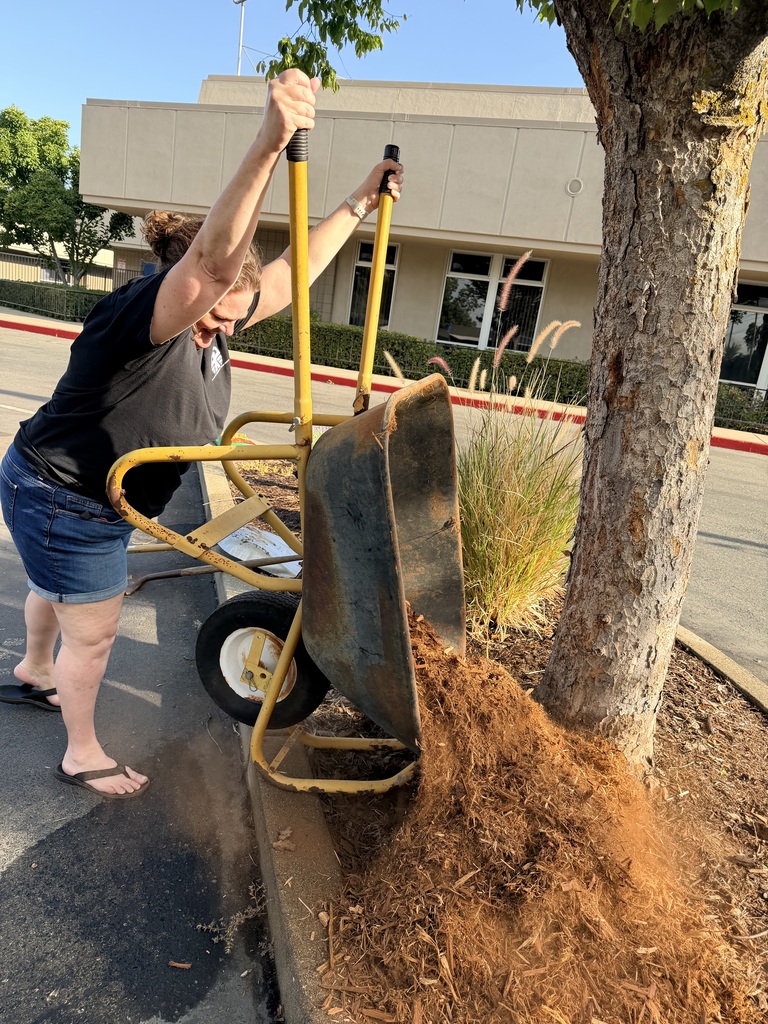A woman in black shirt and shorts pushing a wheelbarrow with yellow handles along a curb.