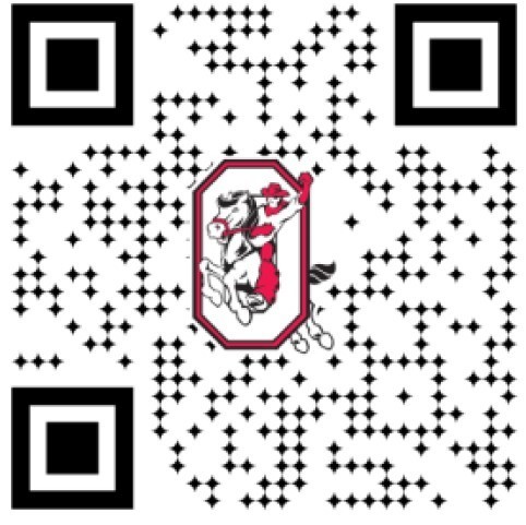 New App