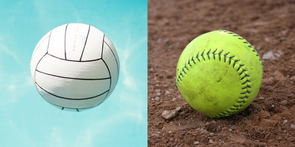 Volleyball Softball