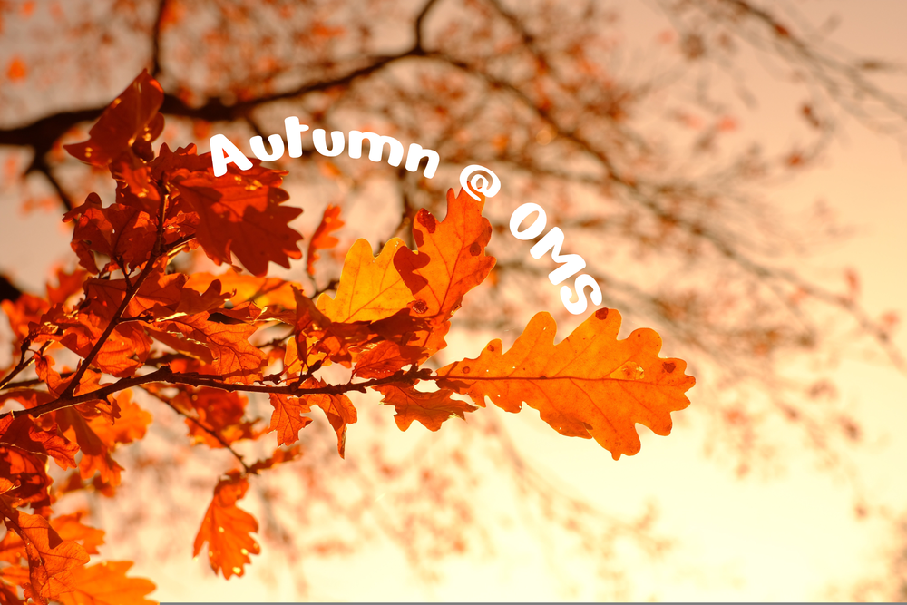 OMS Fall News