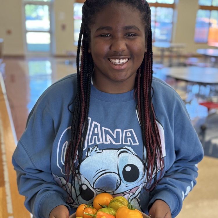 Kindness Club tomato haul. 