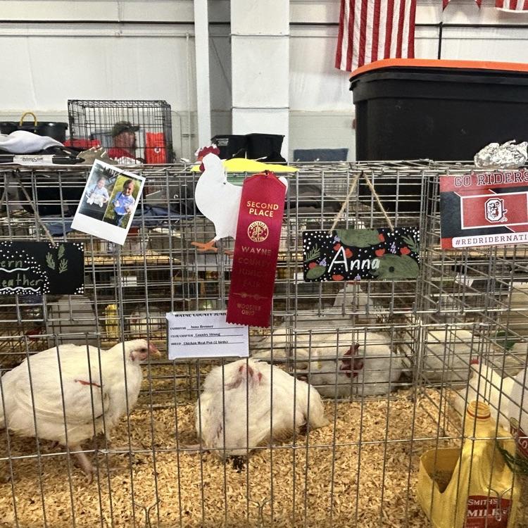 Nothing like the fair!