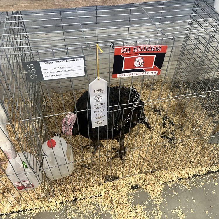 Nothing like the fair!