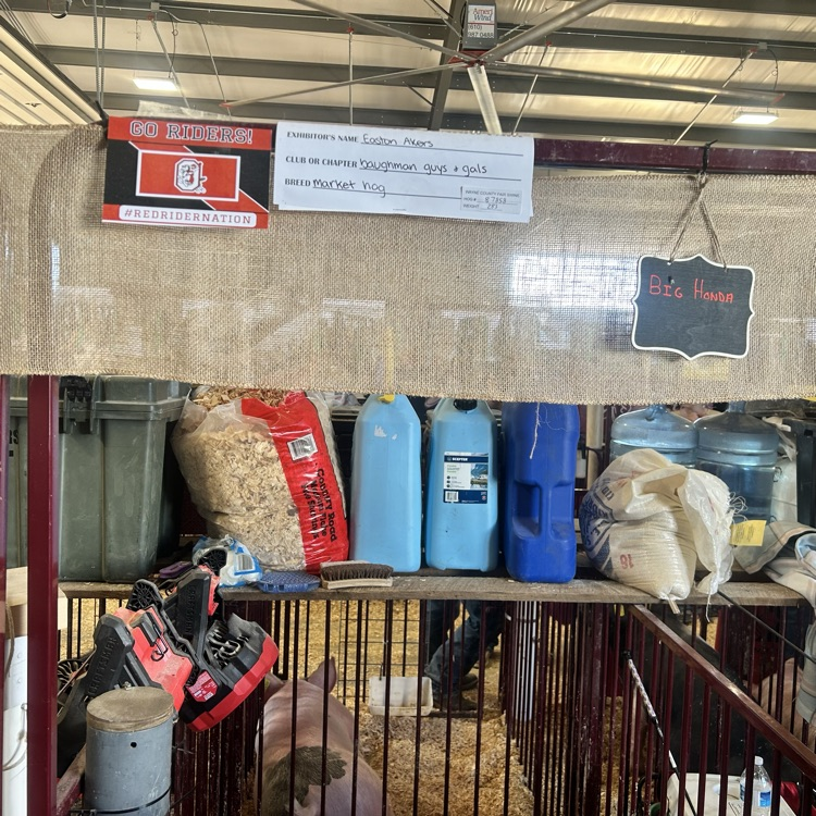 Nothing like the fair!