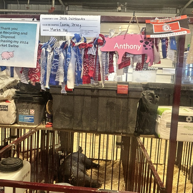 Nothing like the fair! 