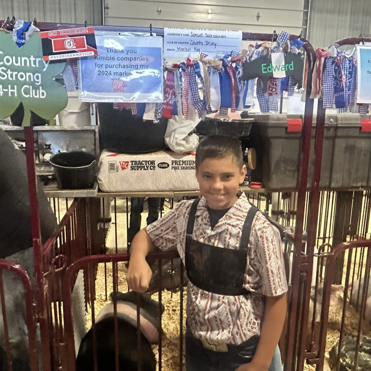 Nothing like the fair!