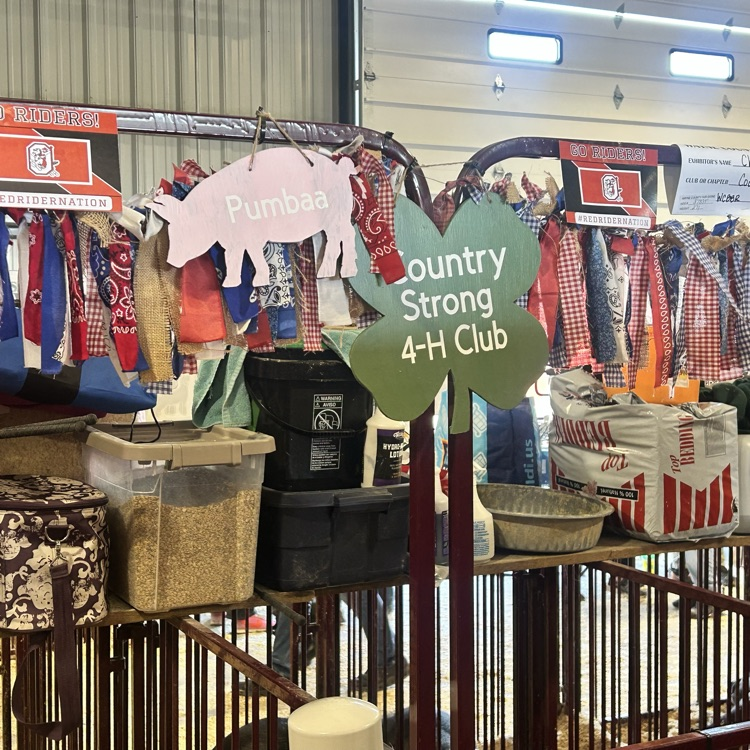 Nothing like the fair!