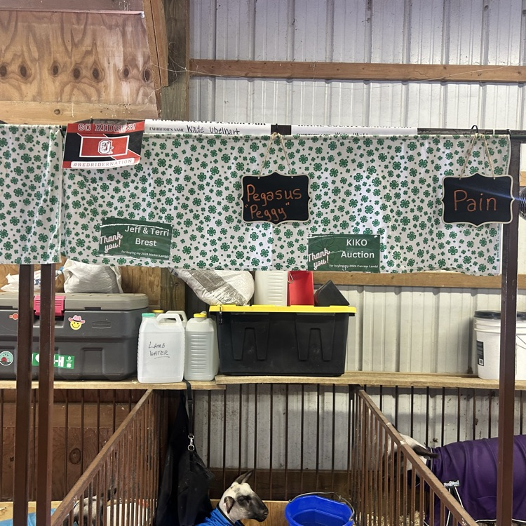 Nothing like the fair!