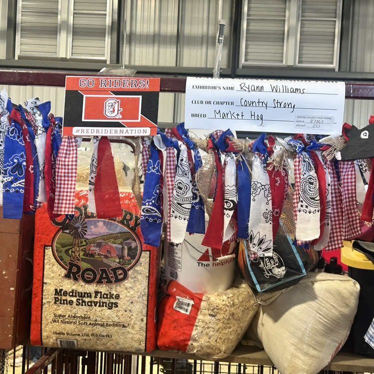 Nothing like the fair!