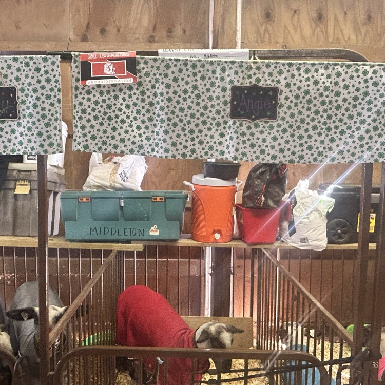 Nothing like the fair!