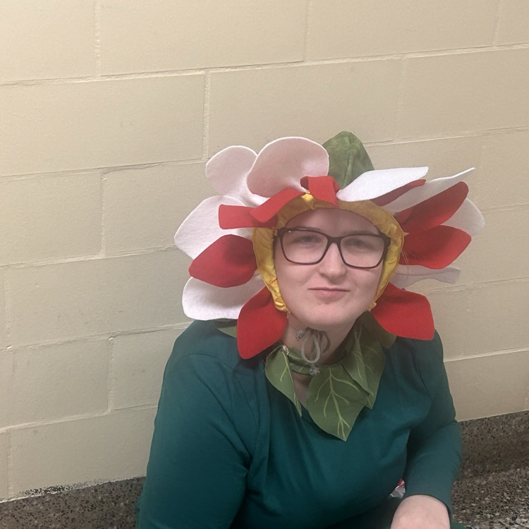 Getting Ready For the Show!