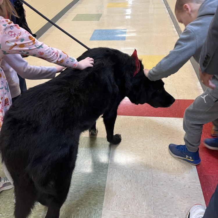 Buster stopped by indoor recess at OES today.🐕🦺🐾