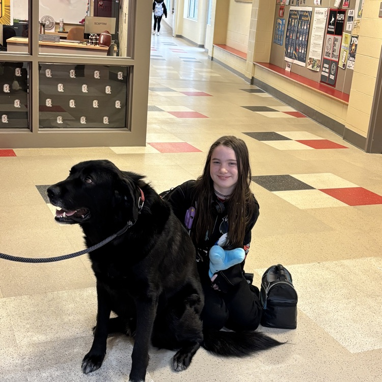 Chillin at the end of the day!🐾🐕🦺