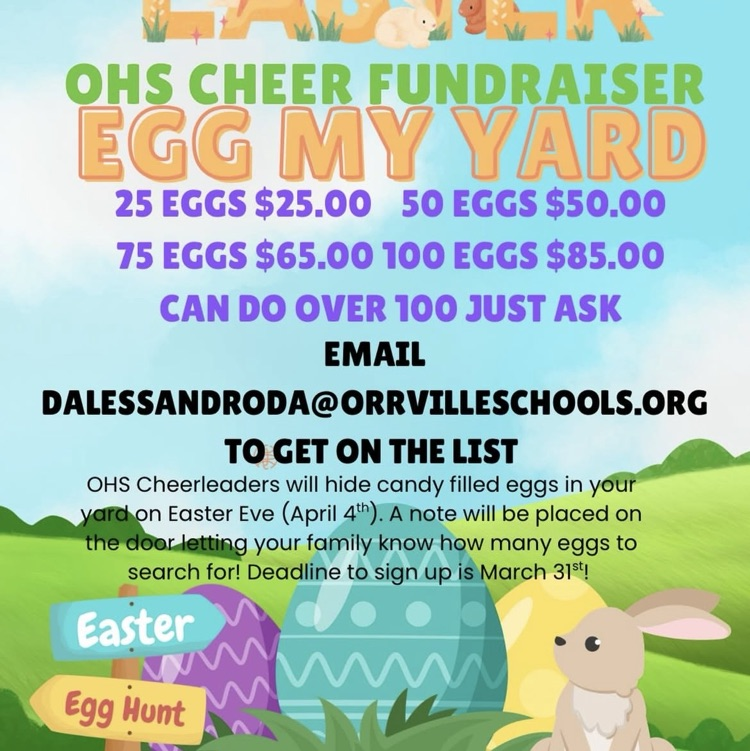 OHS Cheer Fundraiser!