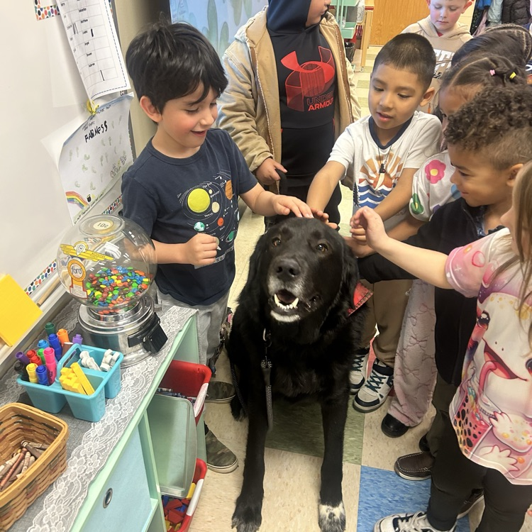 Buster making the rounds today!🐕🦺🐾