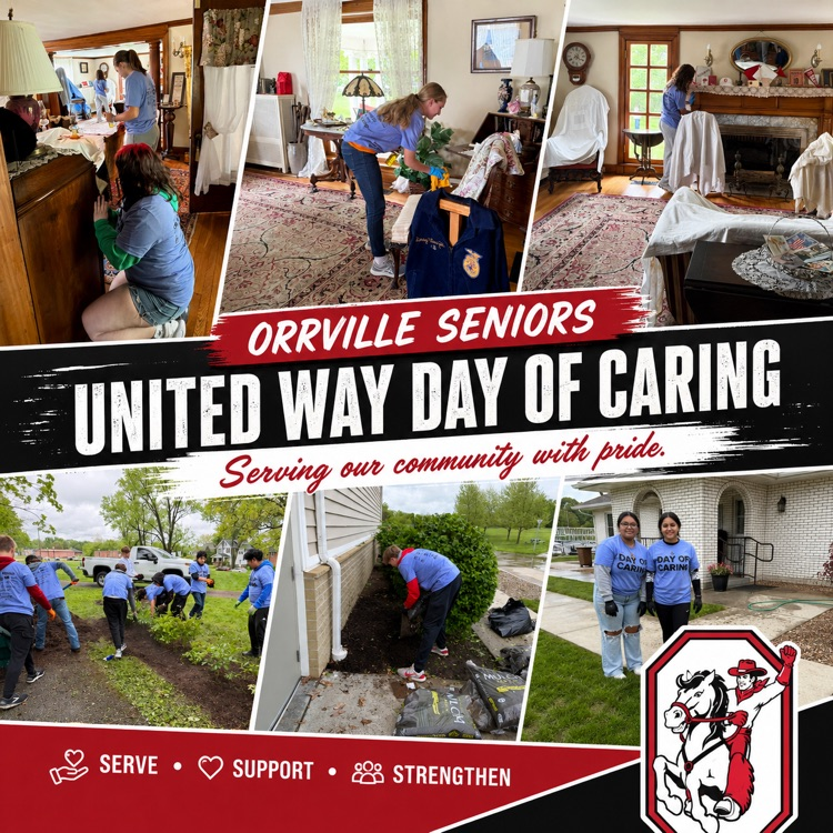 Day of Caring 