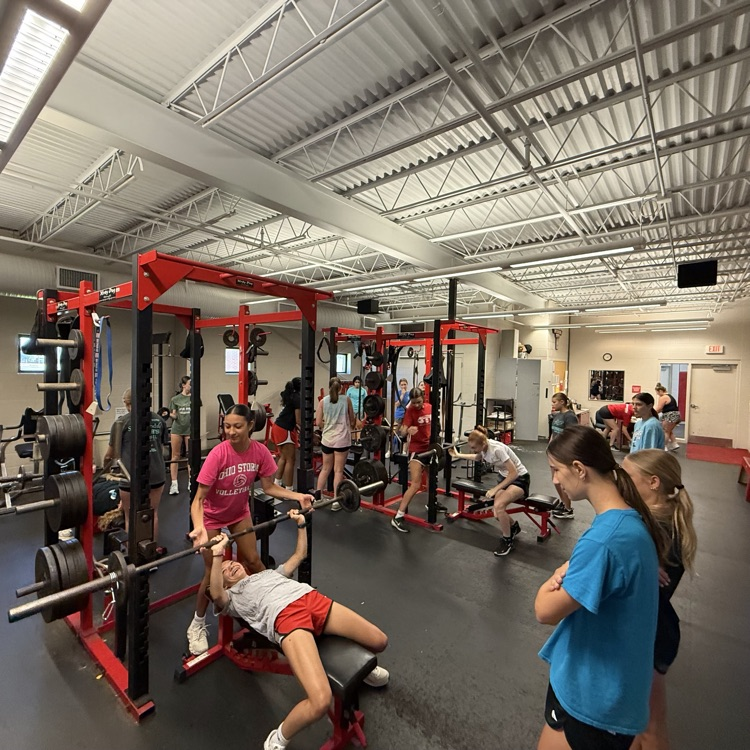 Elite Summer Lifting Program