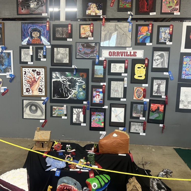 Student Art at the Fair! 🎨🖌️#redridernation