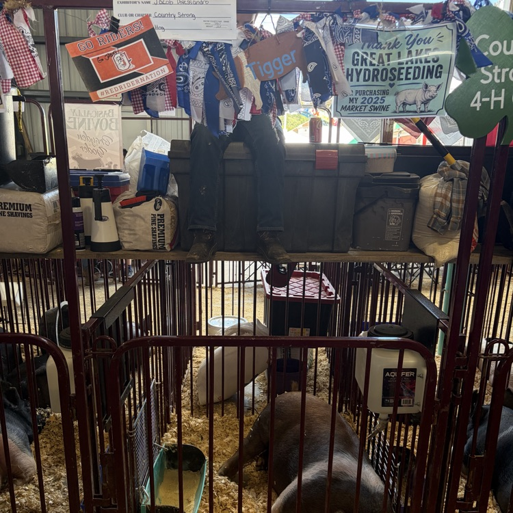 Great afternoon at the Wayne County Fair checking in on some of our Orrville students as they showed their animals! 🐖🐄