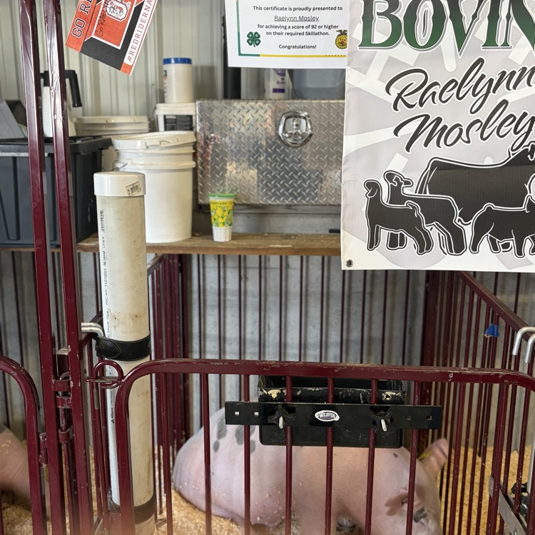 Great afternoon at the Wayne County Fair checking in on some of our Orrville students as they showed their animals! 🐖🐄