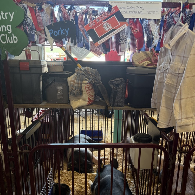 Great afternoon at the Wayne County Fair checking in on some of our Orrville students as they showed their animals! 🐖🐄