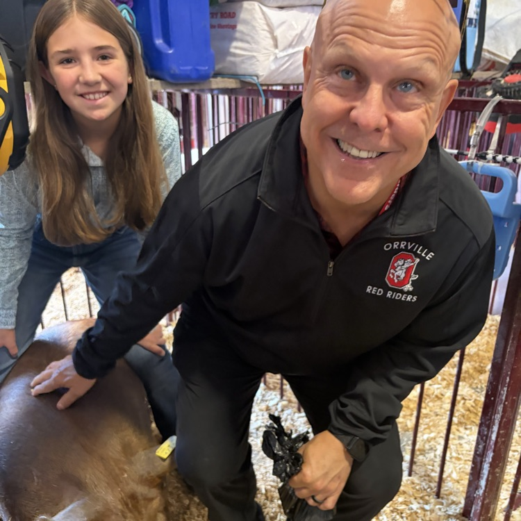 Great afternoon at the Wayne County Fair checking in on some of our Orrville students as they showed their animals! 🐖🐄