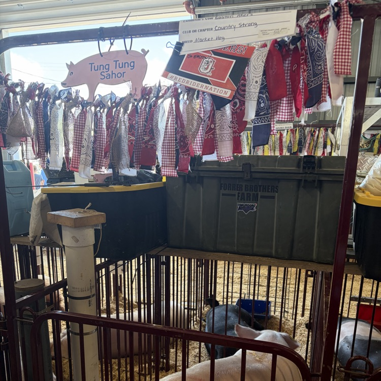 Great afternoon at the Wayne County Fair checking in on some of our Orrville students as they showed their animals! 🐖🐄