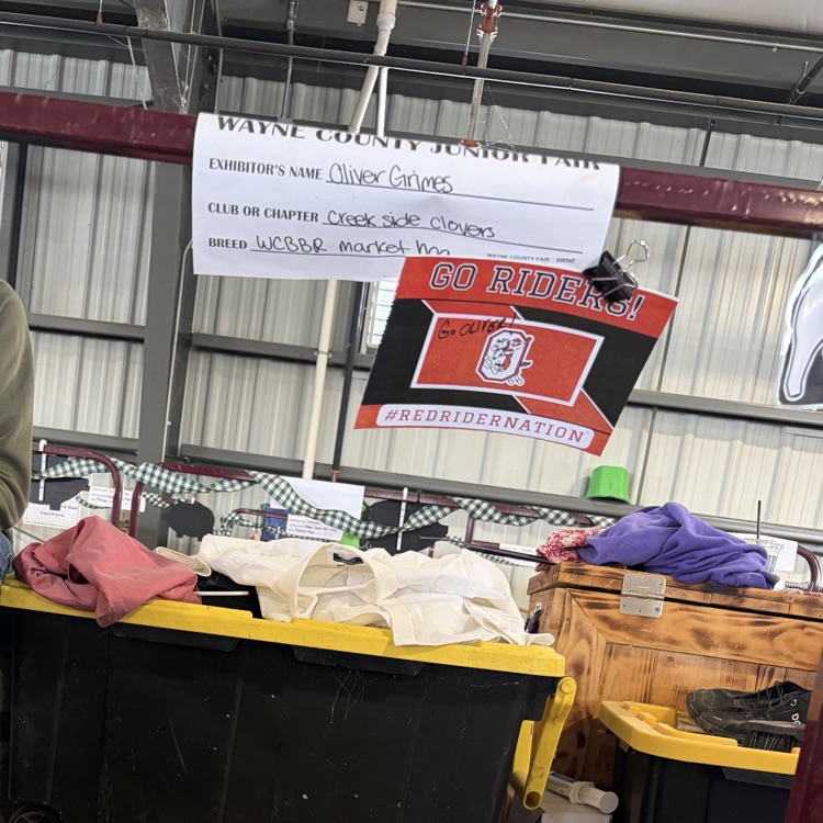 Great afternoon at the Wayne County Fair checking in on some of our Orrville students as they showed their animals! 🐖🐄