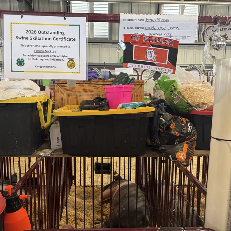 Great afternoon at the Wayne County Fair checking in on some of our Orrville students as they showed their animals! 🐖🐄