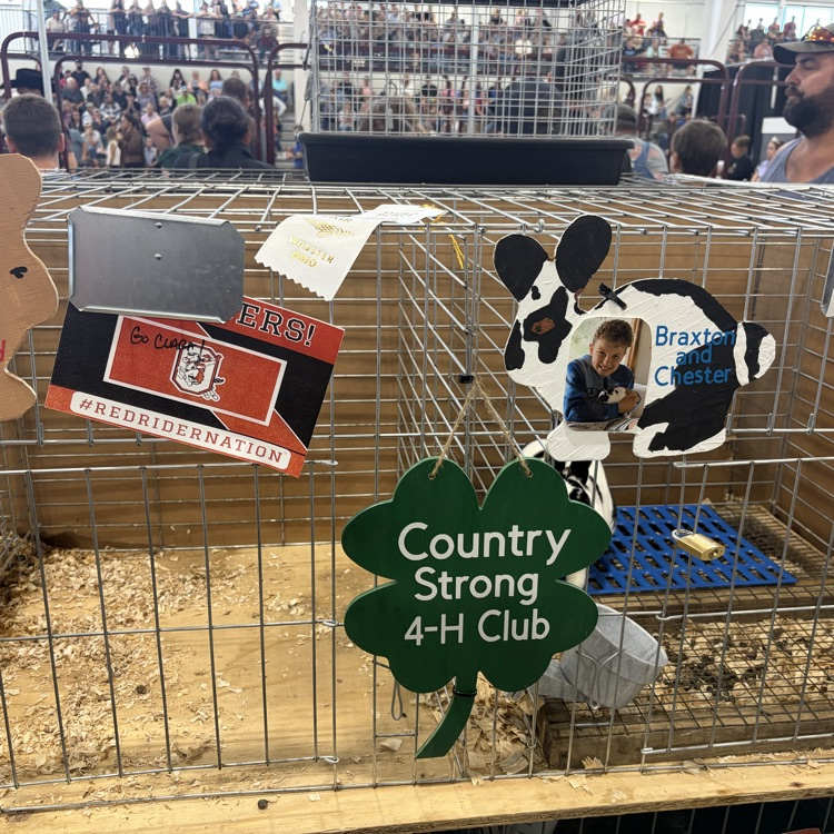 Great afternoon at the Wayne County Fair checking in on some of our Orrville students as they showed their animals! 🐖🐄