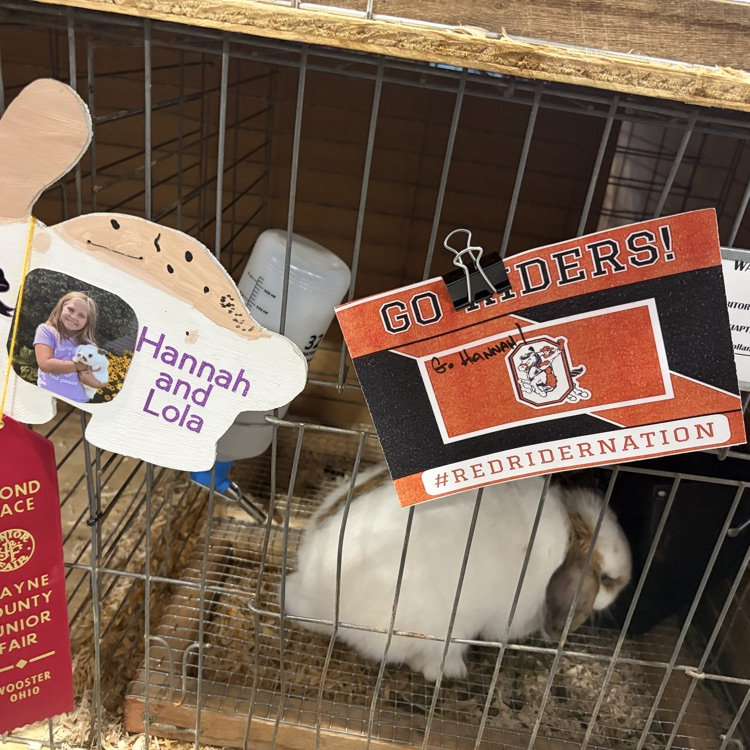 Great afternoon at the Wayne County Fair checking in on some of our Orrville students as they showed their animals! 🐖🐄