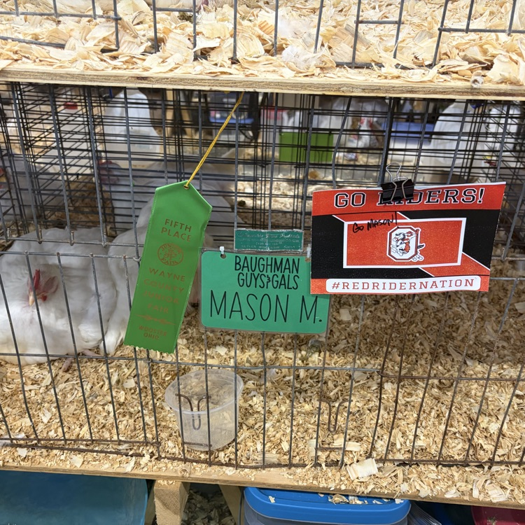 Great afternoon at the Wayne County Fair checking in on some of our Orrville students as they showed their animals! 🐖