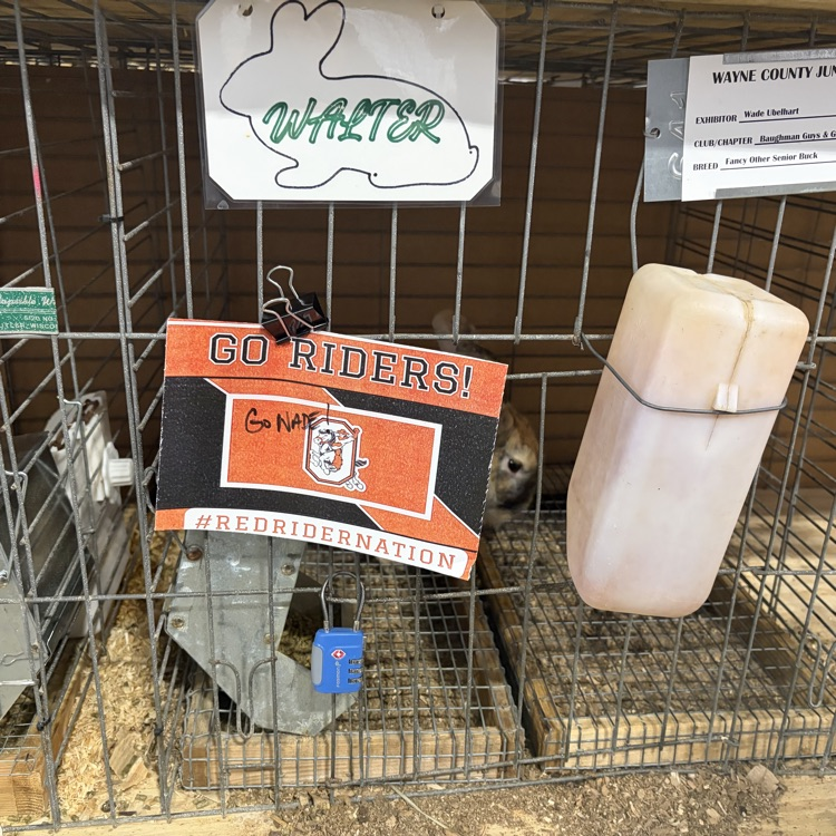 Great afternoon at the Wayne County Fair checking in on some of our Orrville students as they showed their animals! 🐖