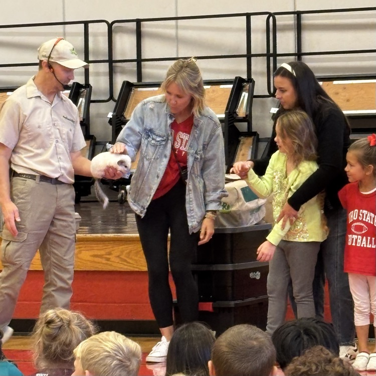 Outback Ray today at OES!