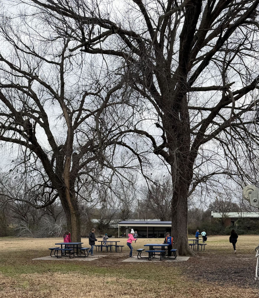 Students solving math problems on the playground.