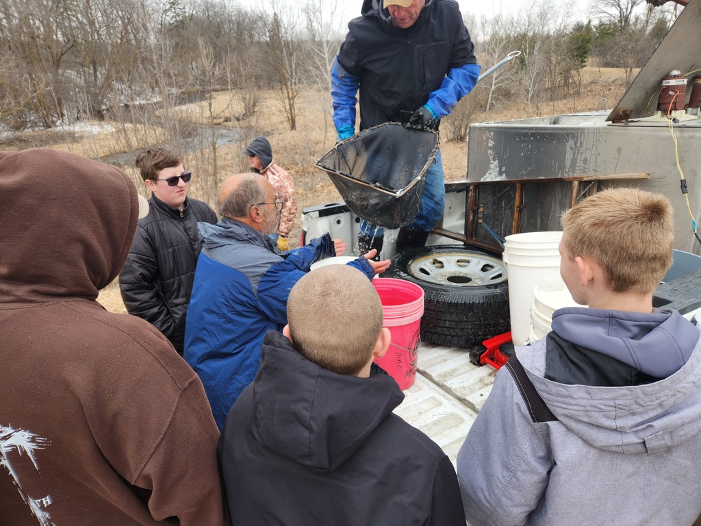 Trout Stocking
