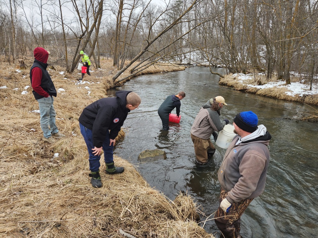 Trout Stocking