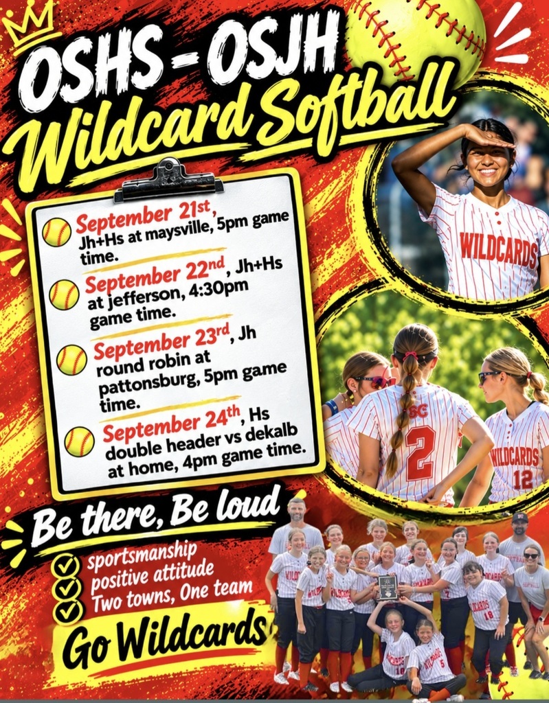 WildCards Softball