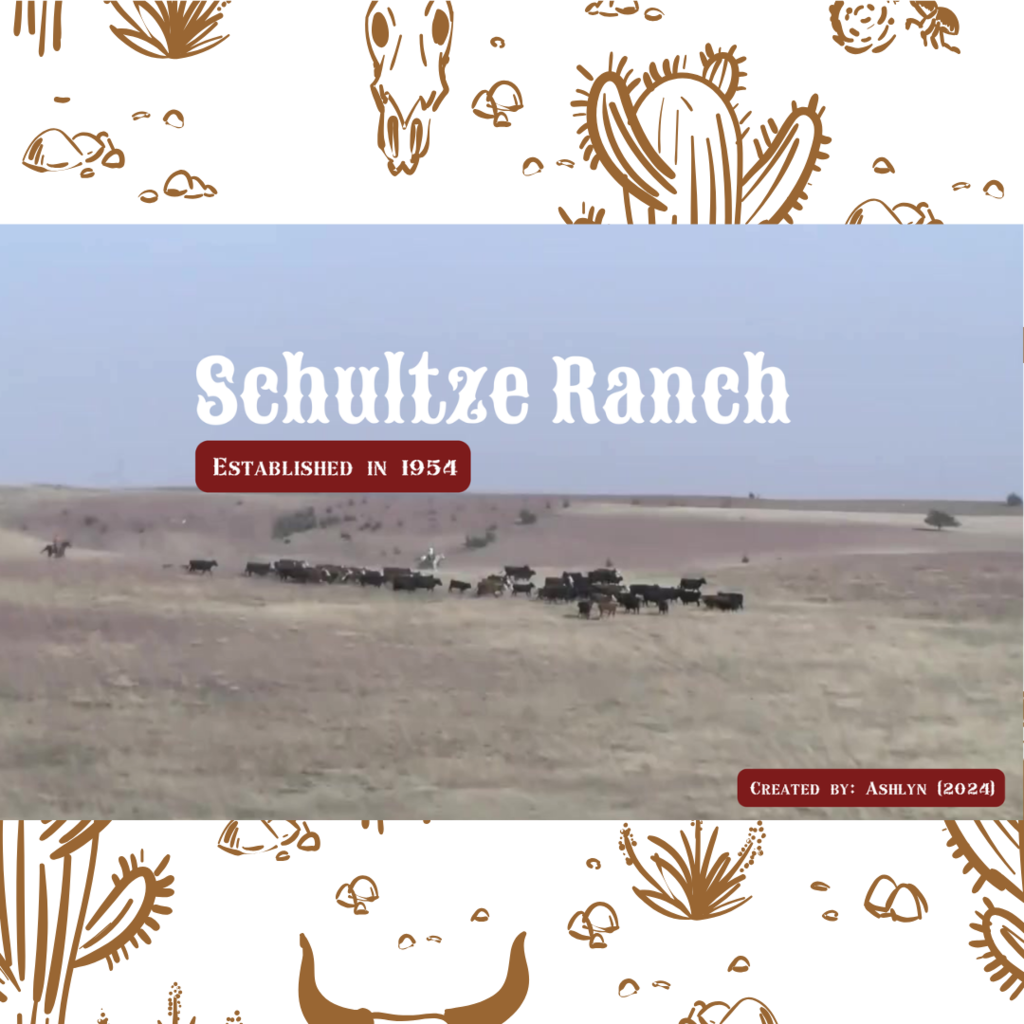 schultze