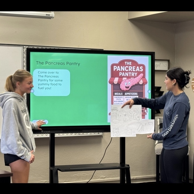 Ms. Cook's Nutrition & Wellness class presented creative theme park designs in class. The theme parks were based on the human digestive system!