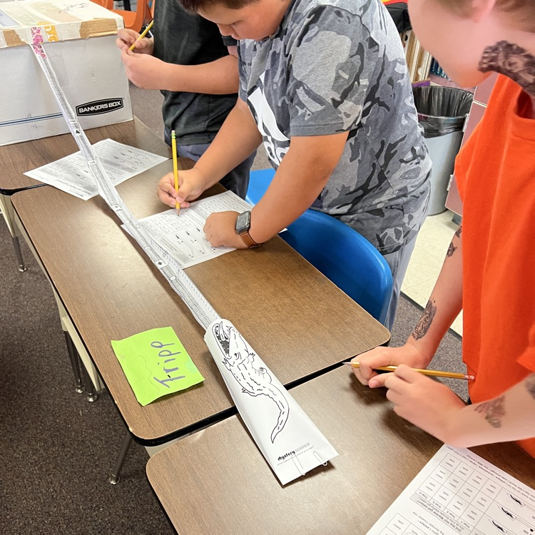 Fourth grade working with energy 