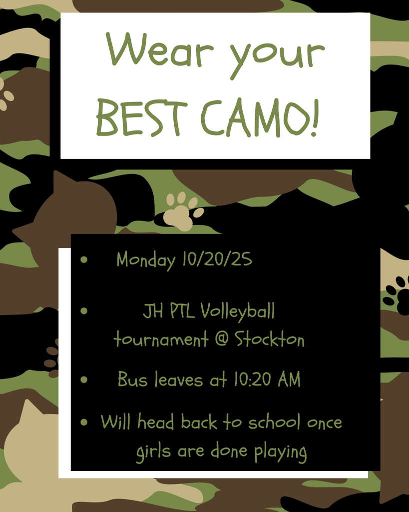 Camo theme